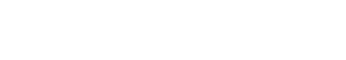 logo robust